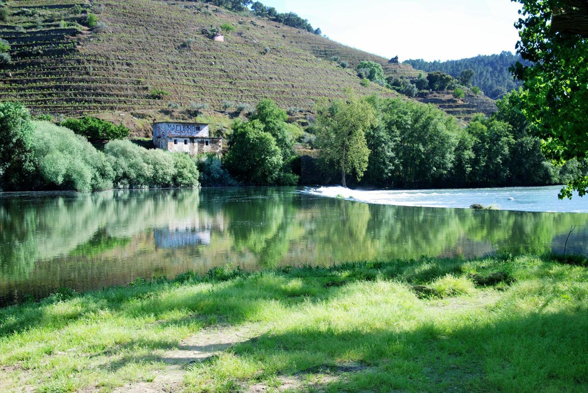 Casa Oliveiras Do Douro Villa Sobreira Dış mekan fotoğraf