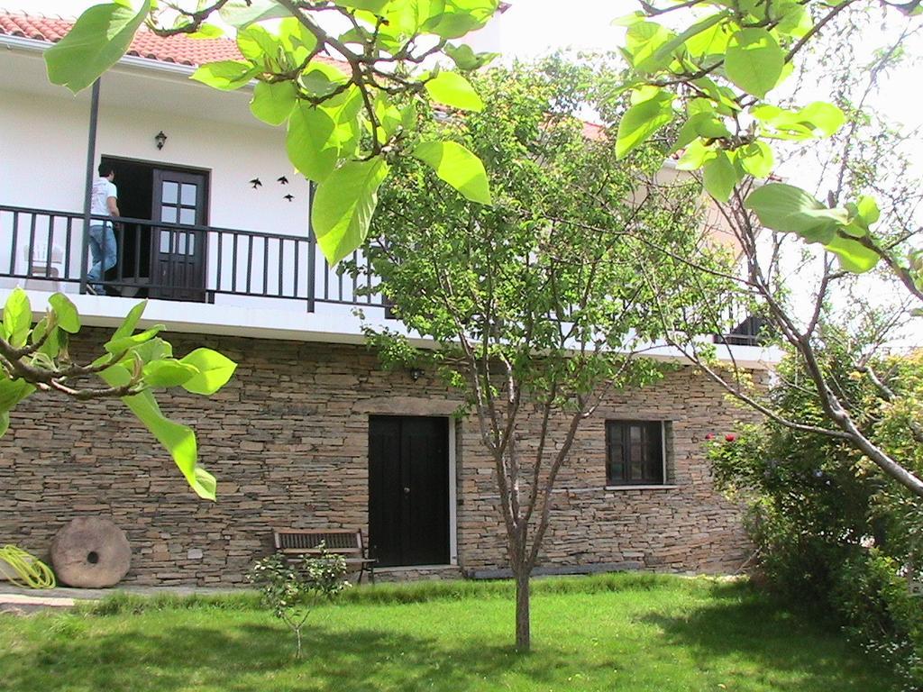 Casa Oliveiras Do Douro Villa Sobreira Dış mekan fotoğraf