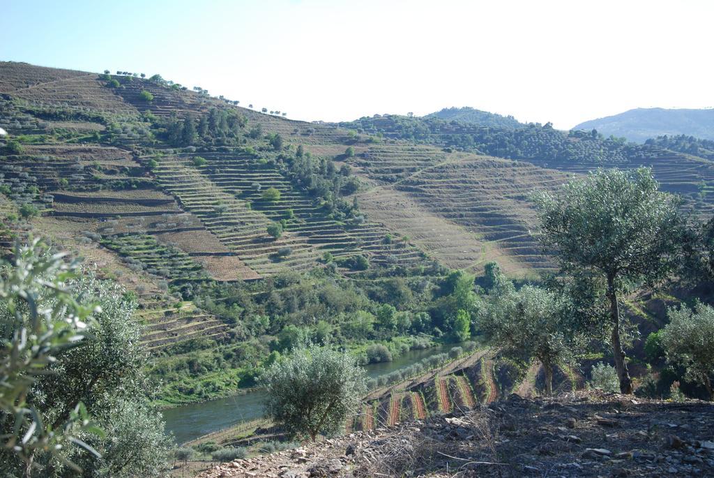 Casa Oliveiras Do Douro Villa Sobreira Dış mekan fotoğraf