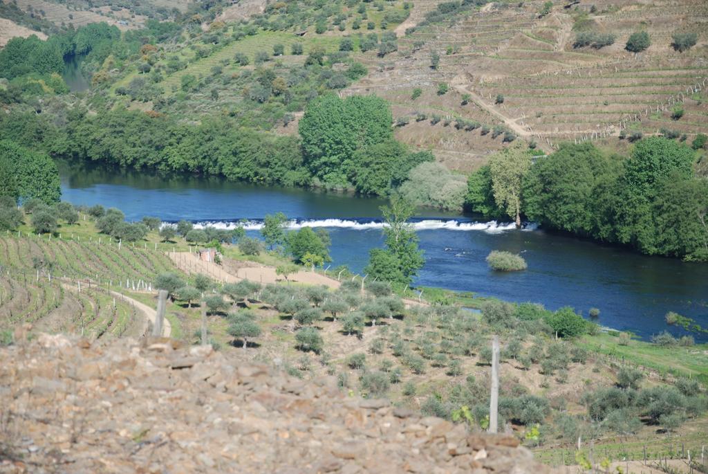 Casa Oliveiras Do Douro Villa Sobreira Dış mekan fotoğraf